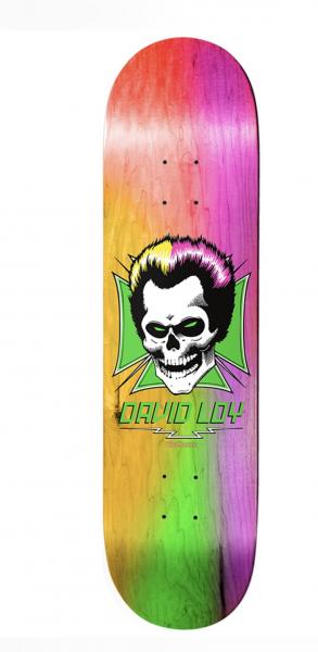 Birdhouse Skull Rainbow 8.38"